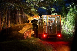 Bali: Return Private Transfer for Night Safari
