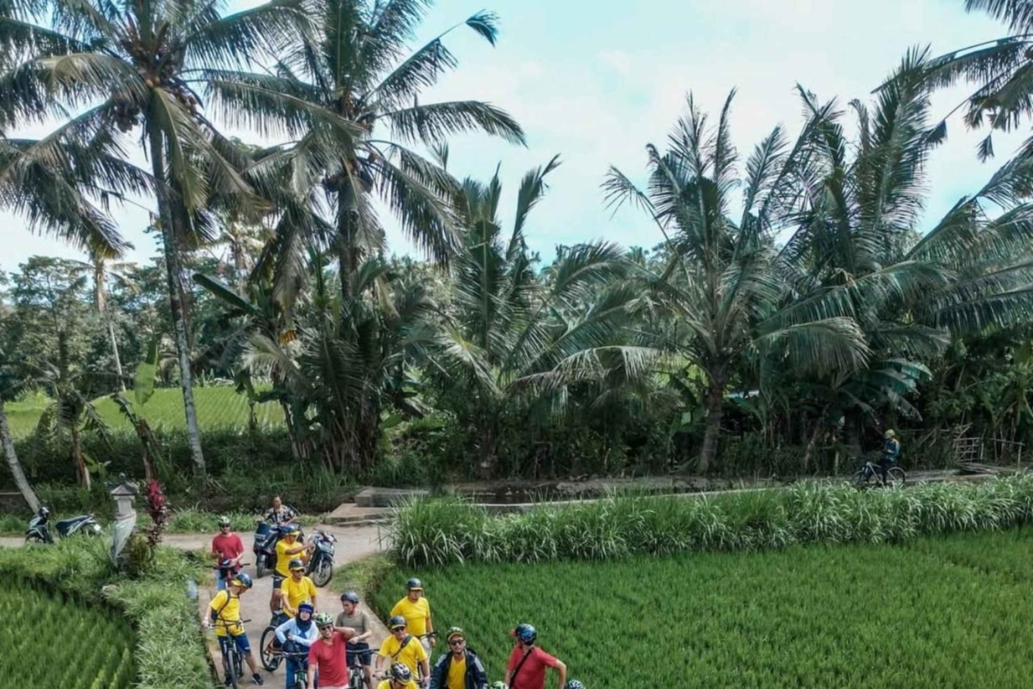 Bali: Rice Field and Village Cycling Tour with Guide