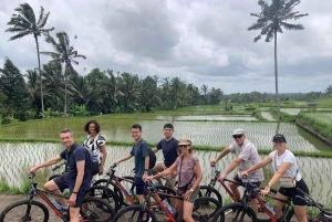 Bali: Rice Field and Village Cycling Tour with Guide