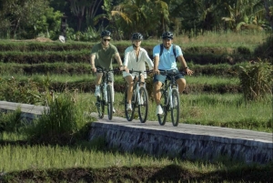 Bali: Rice Field and Village Cycling Tour with Guide