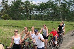 Bali: Rice Field and Village Cycling Tour with Guide