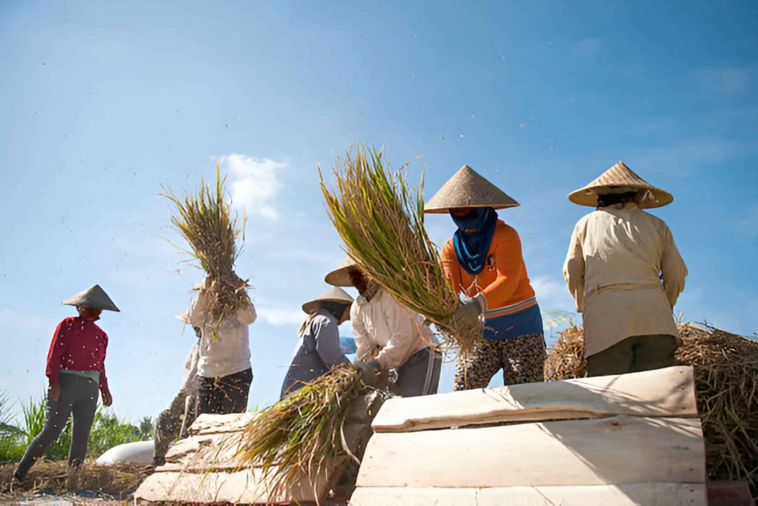 Bali: senderismo por arrozales y tubing en la jungla