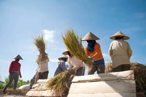 Bali: senderismo por arrozales y tubing en la jungla