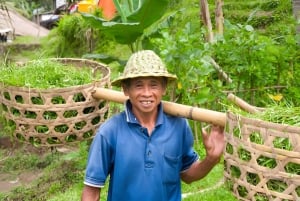 Bali: senderismo por arrozales y tubing en la jungla