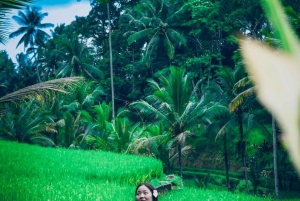 Bali Rice Terrace, Waterfall And ATV Ride Tours