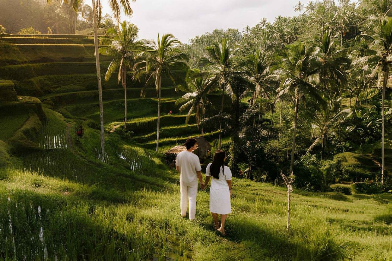 Bali: rijstterrassen, koffieproeverij en diner bij vuurvliegjes