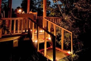 Bali: Rice Terraces, Coffee Tasting & Dinner by Fireflies