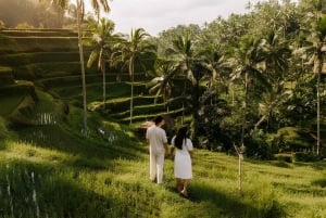Bali: rijstterrassen, koffieproeverij en diner bij vuurvliegjes