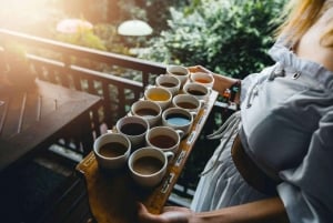 Bali: rijstterrassen, koffieproeverij en diner bij vuurvliegjes