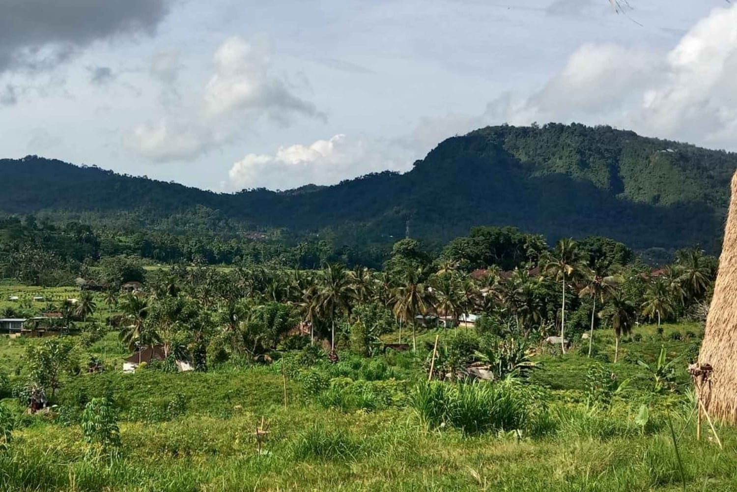 Bali Rice Terraces & Cultural Temples Tour