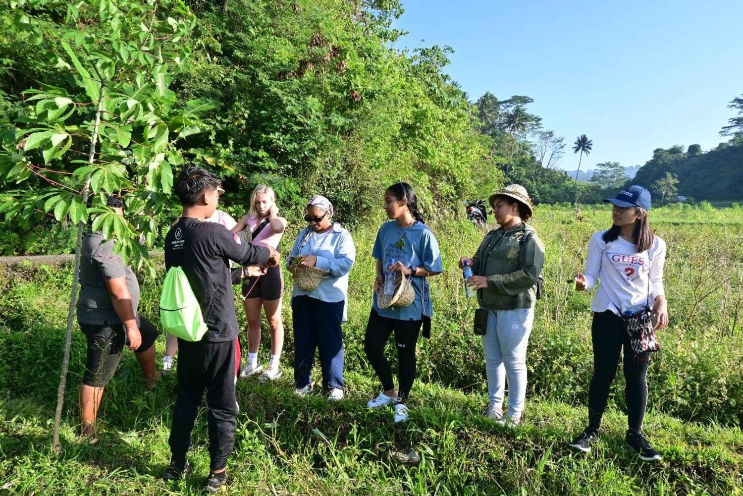 Bali Rice Terraces & Cultural Temples Tour