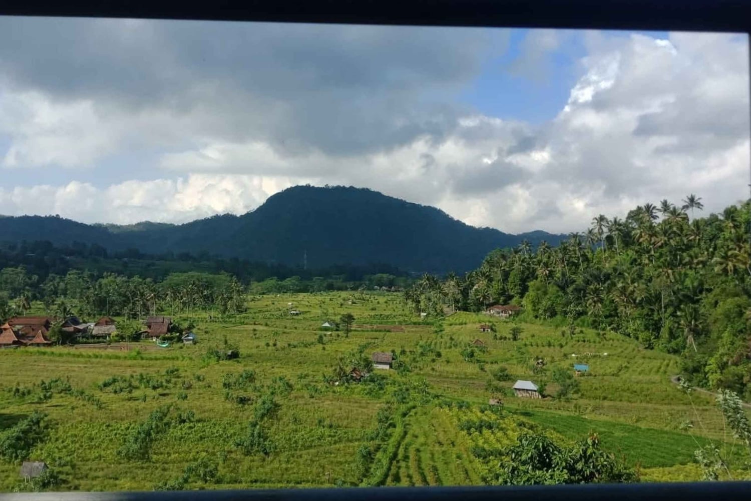 Bali Rice Terraces & Cultural Temples Tour