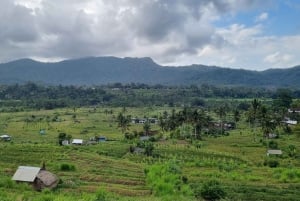Bali Rice Terraces & Cultural Temples Tour