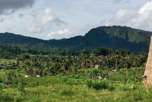 Bali Rice Terraces & Cultural Temples Tour