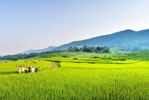 Bali: Rice Terraces Guided Hiking Experience