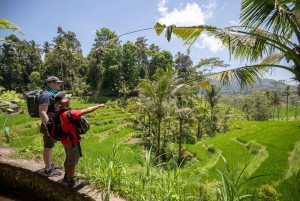 Bali: Rice Terraces Guided Hiking Experience