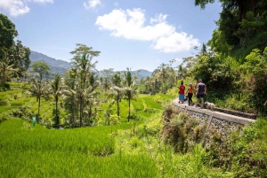 Bali: Rice Terraces Guided Hiking Experience