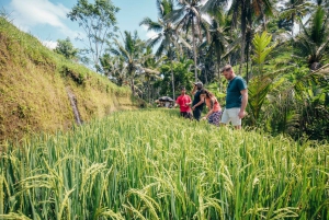 Bali: Rice Terraces Guided Hiking Experience
