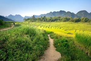 Bali: Rice Terraces Guided Hiking Experience
