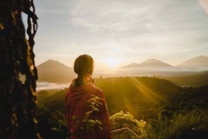 Bali: Rice Terraces, Mount Batur Geopark and more – Day Tour
