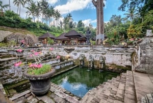 Bali: Rice Terraces, Mount Batur Geopark and more – Day Tour