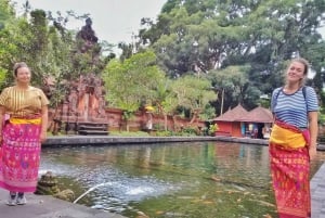 Bali: Rice Terraces, Mount Batur Geopark and more – Day Tour