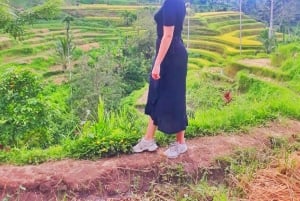 Bali: Rice Terraces, Mount Batur Geopark and more – Day Tour