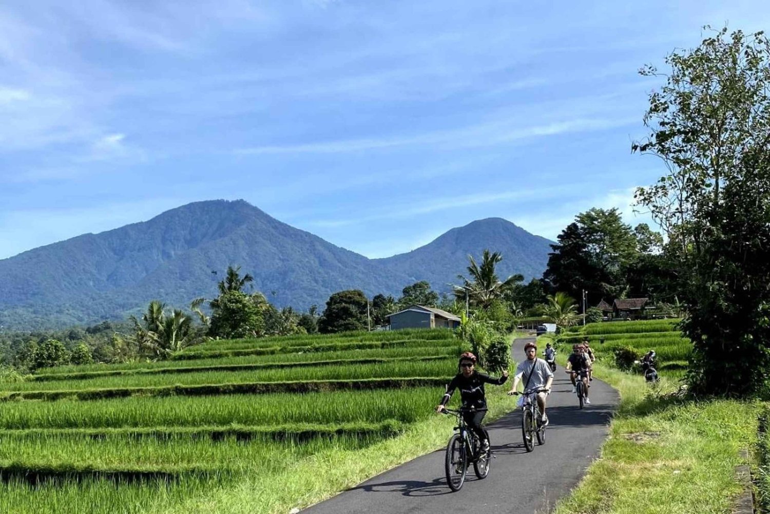 Bali: Richfield Cycling Tour with Hot Springs & Bird Village