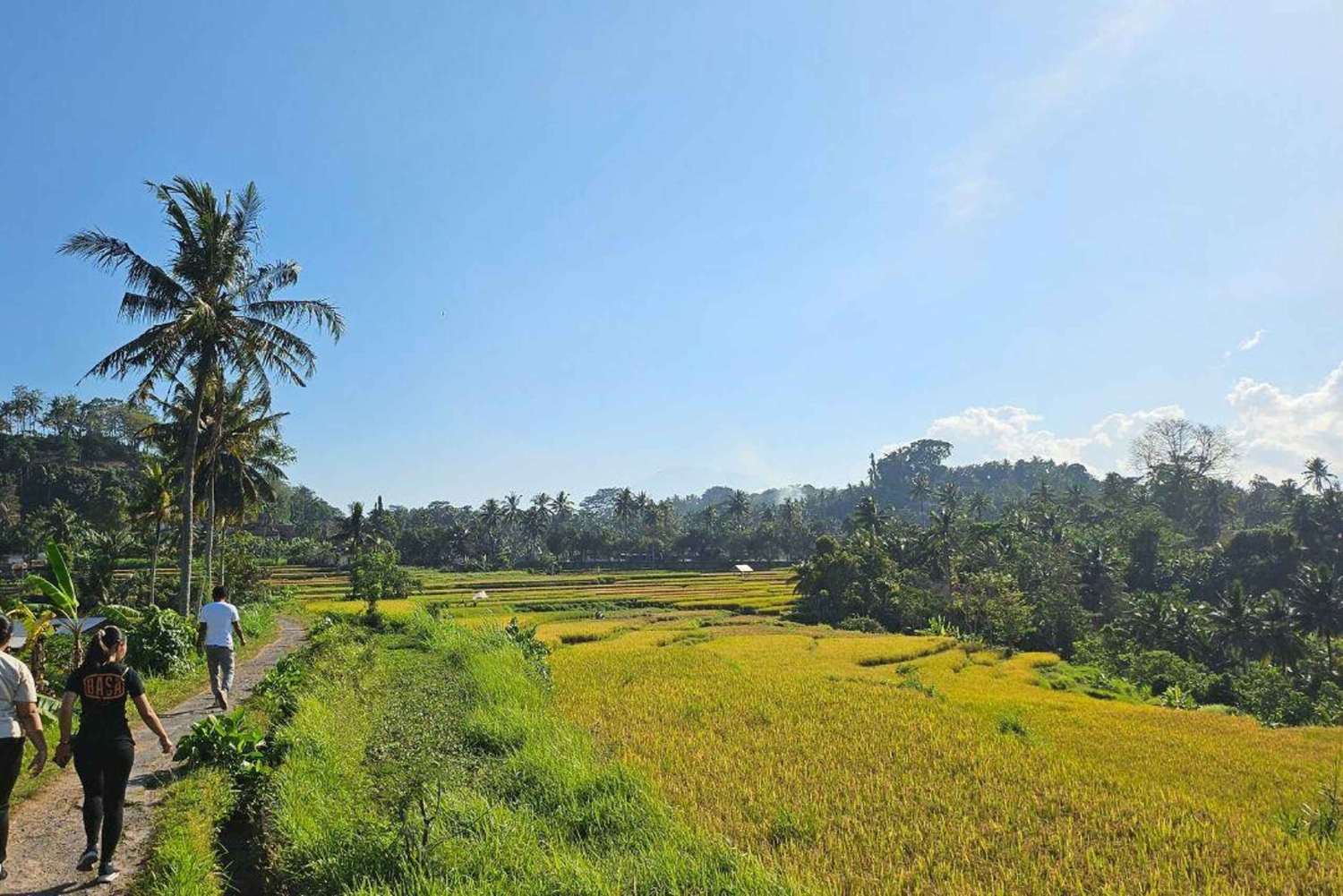Bali: Rural Trekking and River Adventure Tour