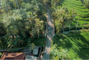 Bali: Rural Trekking and River Adventure Tour