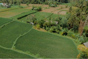 Bali: Rural Trekking and River Adventure Tour