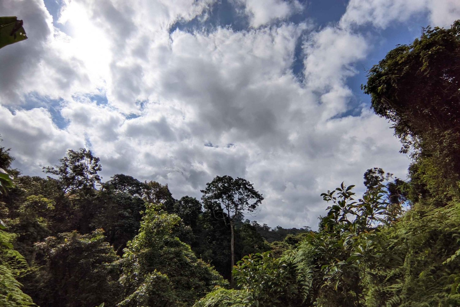Balis mystiske jungeltrekking og eventyr med skjulte fossefall