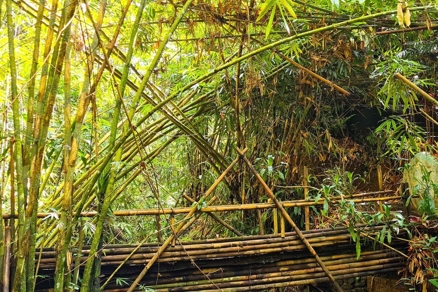 Balis mystiske jungeltrekking og eventyr med skjulte fossefall
