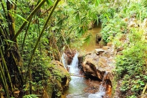 Balis mystiske jungeltrekking og eventyr med skjulte fossefall