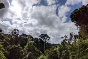 Balis mystiske jungeltrekking og eventyr med skjulte fossefall