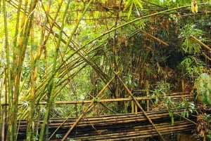 Balis mystiske jungeltrekking og eventyr med skjulte fossefall