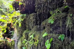 Balis mystiske jungeltrekking og eventyr med skjulte fossefall