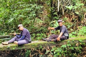 Balis mystiske jungeltrekking og eventyr med skjulte fossefall