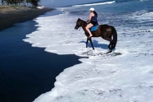 Paseo a caballo en Bali en la playa de Saba Excursión a caballo