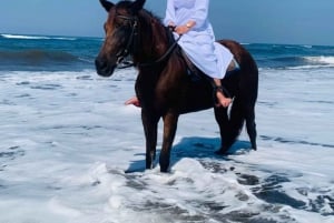 Paseo a caballo en Bali en la playa de Saba Excursión a caballo