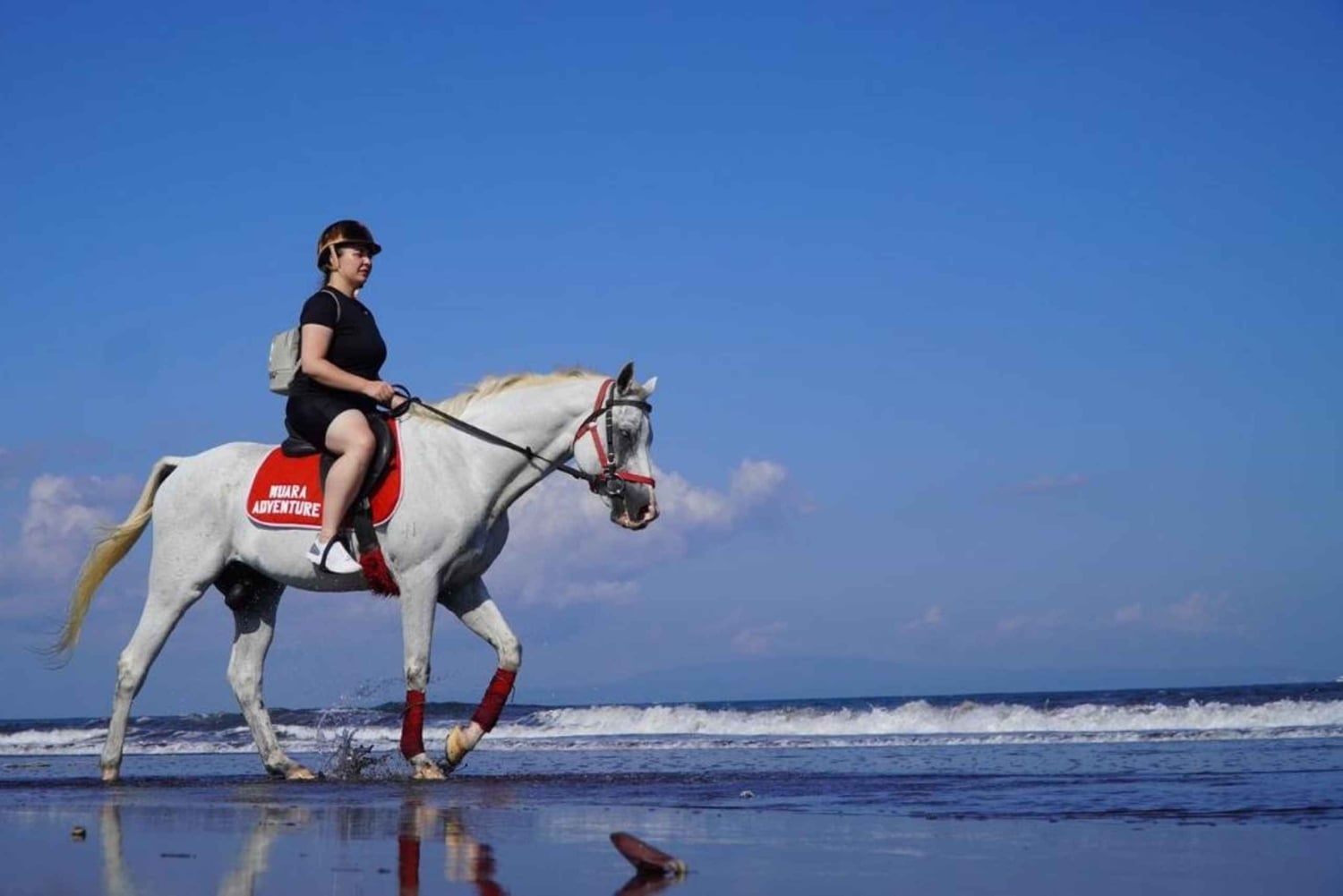 Bali: Saba Beach Horseback Riding Experience