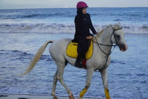 Bali: Saba Beach Horseback Riding Experience