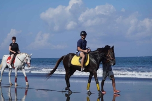 Bali: Saba Beach Horseback Riding Experience