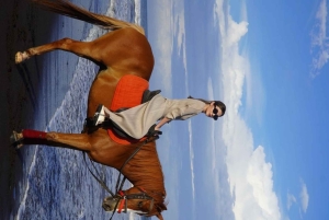 Bali: Saba Beach Horseback Riding Experience