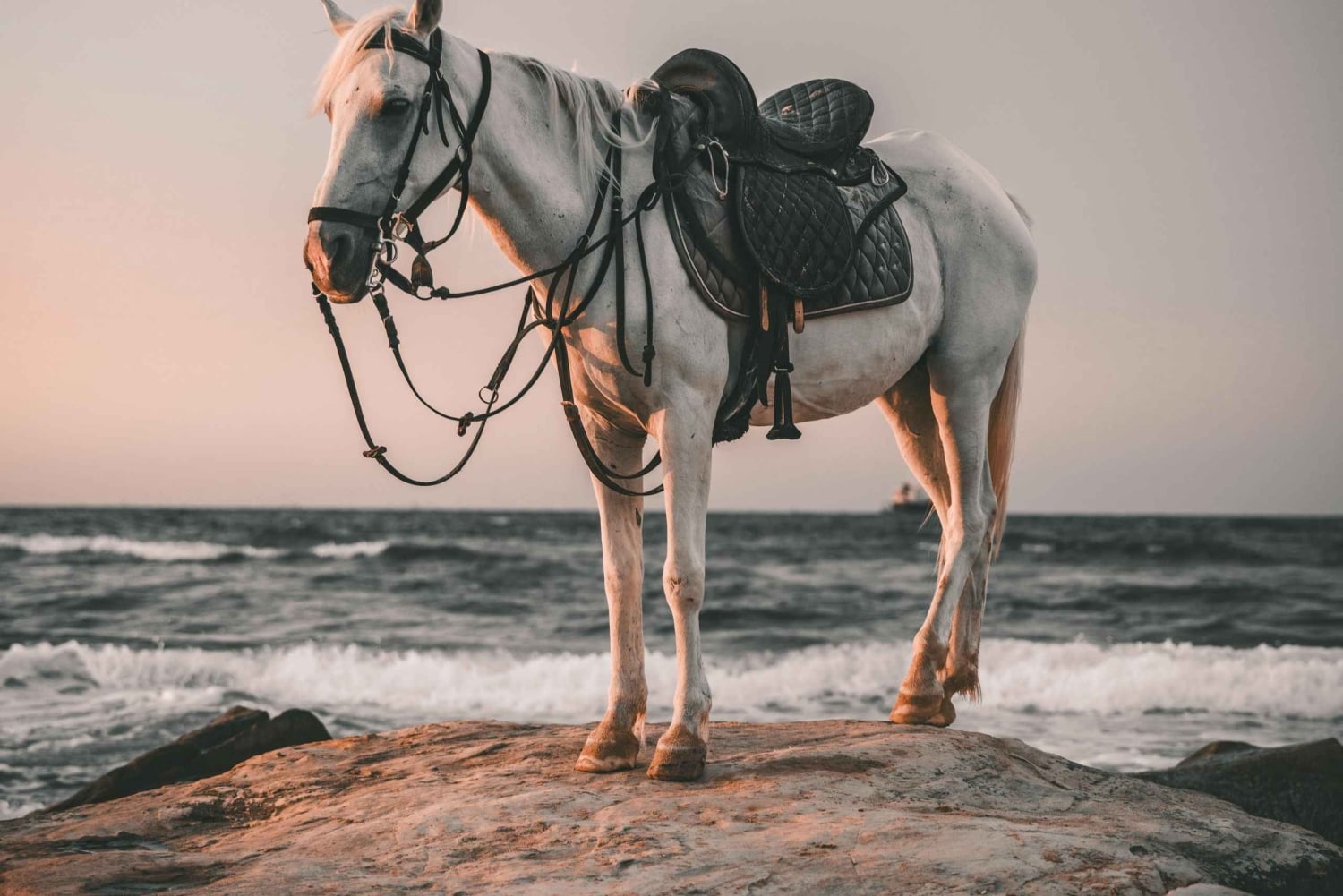 Bali: Saba Beach Premium -ratsastuskokemus