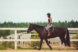 Bali: Saba Beach Premium Horseback Riding Experience