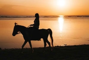 Bali: Saba Beach Premium Horseback Riding Experience