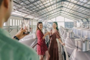 Bali: tour della cantina Sababay, mercato dell'arte e cena