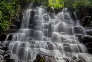 バリ島：聖なる洞窟からブルーラグーン、滝、海までを体験してください