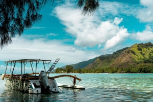 バリ島：聖なる洞窟からブルーラグーン、滝、海までを体験してください